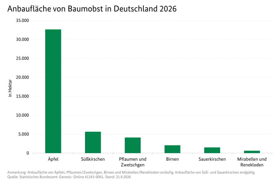 Säulendiagramm: Anbaufläche von Baumobst in Deutschland 2025. Datenquelle: Statistisches Bundesamt: Genesis Online 41243-0001