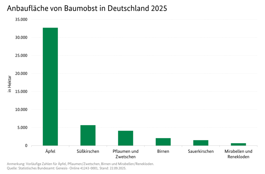 Säulendiagramm: Anbaufläche von Baumobst in Deutschland 2025. Datenquelle: Statistisches Bundesamt: Genesis Online 41243-0001