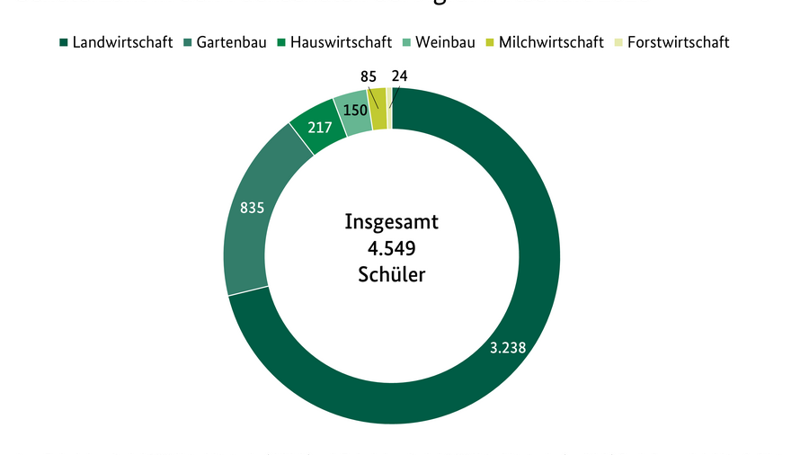Kreisdiagramm beschreibt die Schüleranzahl in den Fachschulen der Agrarwirtschaft 2019. Landwirtschaft 3731, Weinbau 200, Gartenbau 818, Forstwirtschaft 19, Milchwirtschaft 91, Hauswirtschaft 290. Quelle: Länderministerien, Statistische Landesämter, Fachschulen, BLE, Referat 414.