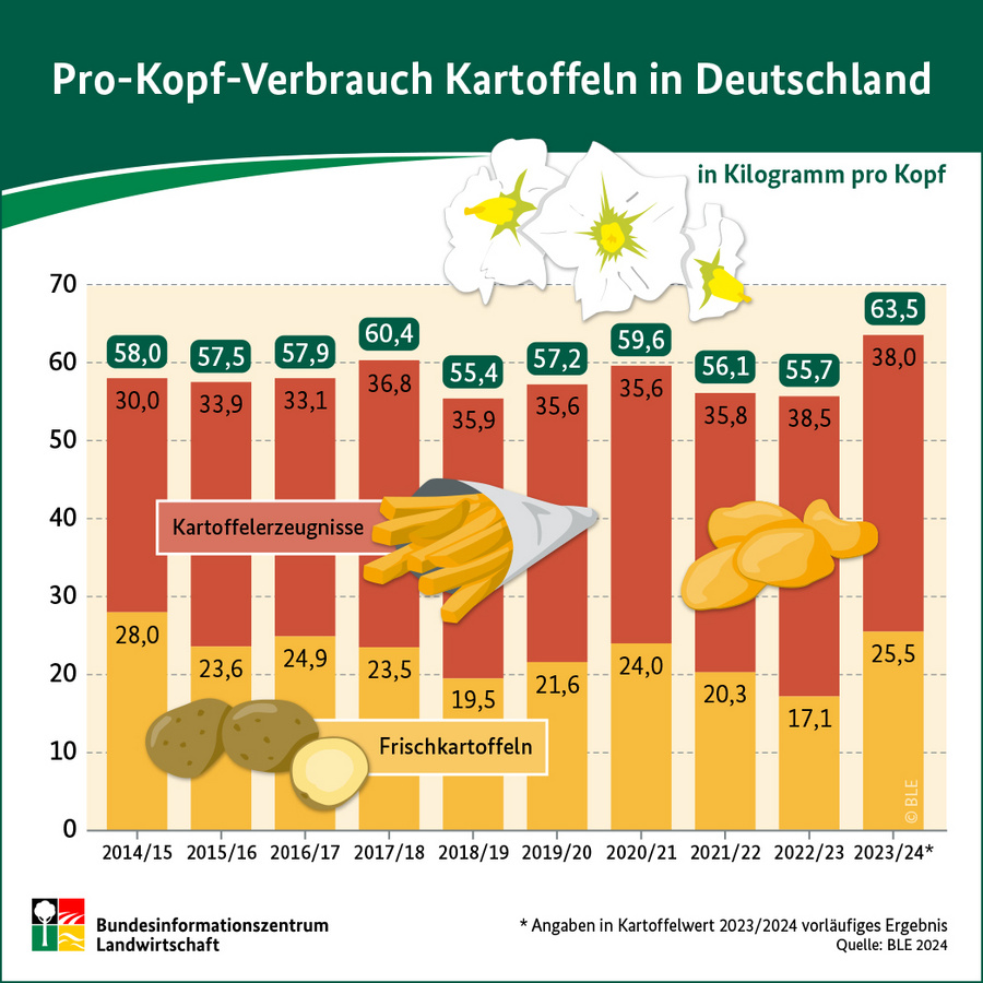 Infografik: Pro-Kopf-Verbrauch Kartoffeln in Deutschland