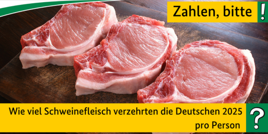 Quiz: Wie viel Schweinefleisch verzehrten die Deutschen 2025 pro Person?  