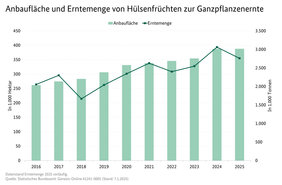 Säulendiagramm: Anbaufläche von Hülsenfrüchten zur Ganzpflanzenernte. Liniendiagramm: Erntemenge von Hülsenfrüchten zur Ganzpflanzenernte.
