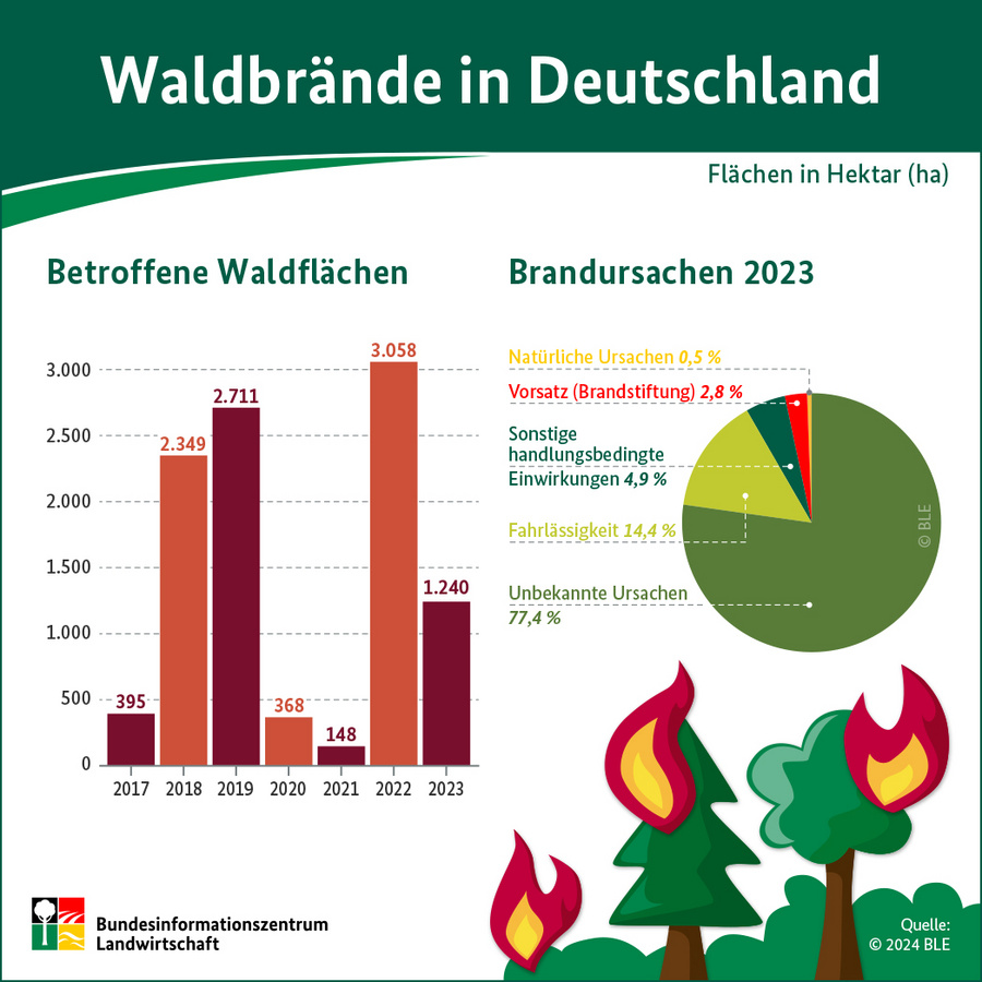 Infografik: Waldbrände in Deutschland 2023. Angegeben sind die Waldbrandfläche und die Brandursachen.