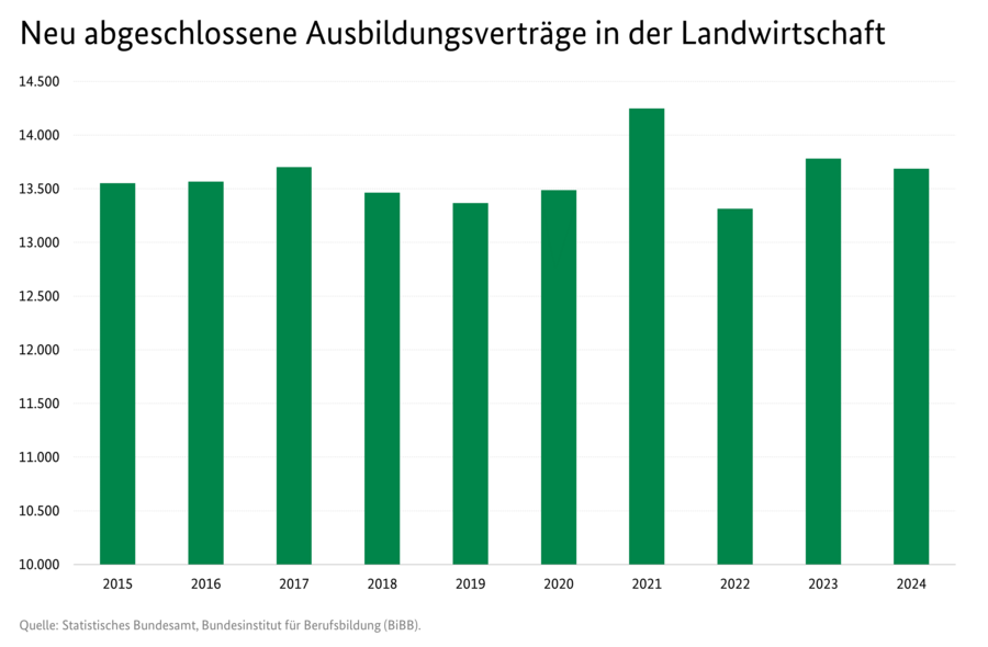 Säulendiagramm: Neu abgeschlossene Ausbildungsverträge in der Landwirtschaft. Zeitreihe von 2015 bis 2024. Datenquelle: 0300100-2024.