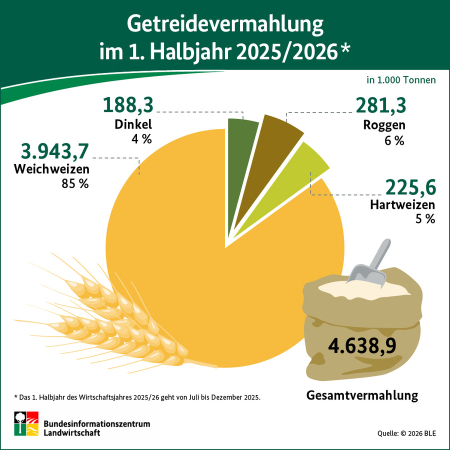 Infografik mit Kreisdiagramm: Getreidevermahlung in der 1. Hälfte des WJ 2025/2026