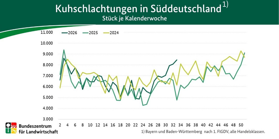 Liniendiagramm: Kuhschlachtungen in Süddeutschland 2026