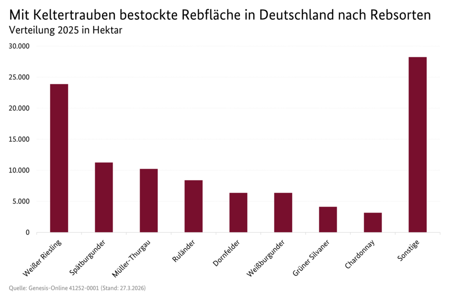 Säulendiagramm: Mit Keltertrauben bestockte Rebfläche in Deutschland nach Rebsorten.