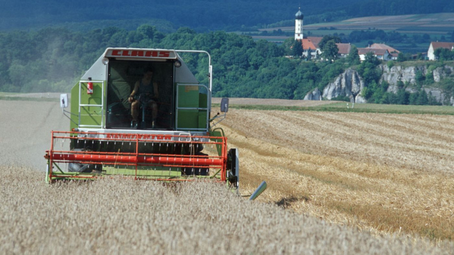 Getreidernte mit einem Mähdrescher
