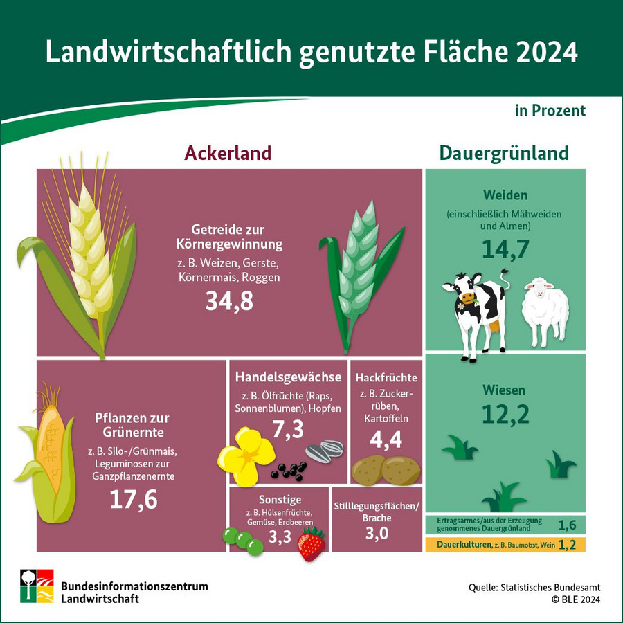 Infografik: Landwirtschaftliche Flächennutzung 2024