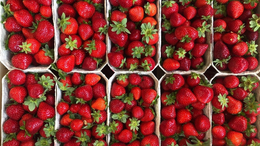 Erdbeeren in Schalen