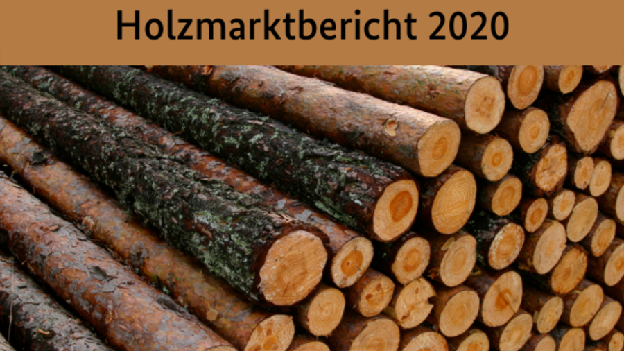 Überschrift: Holzmarktbericht 2020; Abgebildet sind gestarpelte Holzstämme