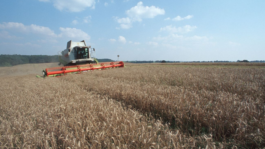 Mähdrescher auf einem Feld bei der Getreideernte