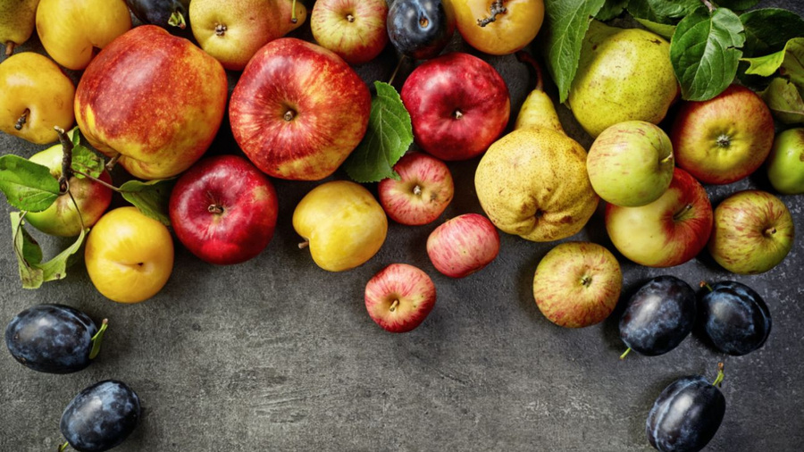 Verschiedenes Obst auf einem grauen Hintergrund