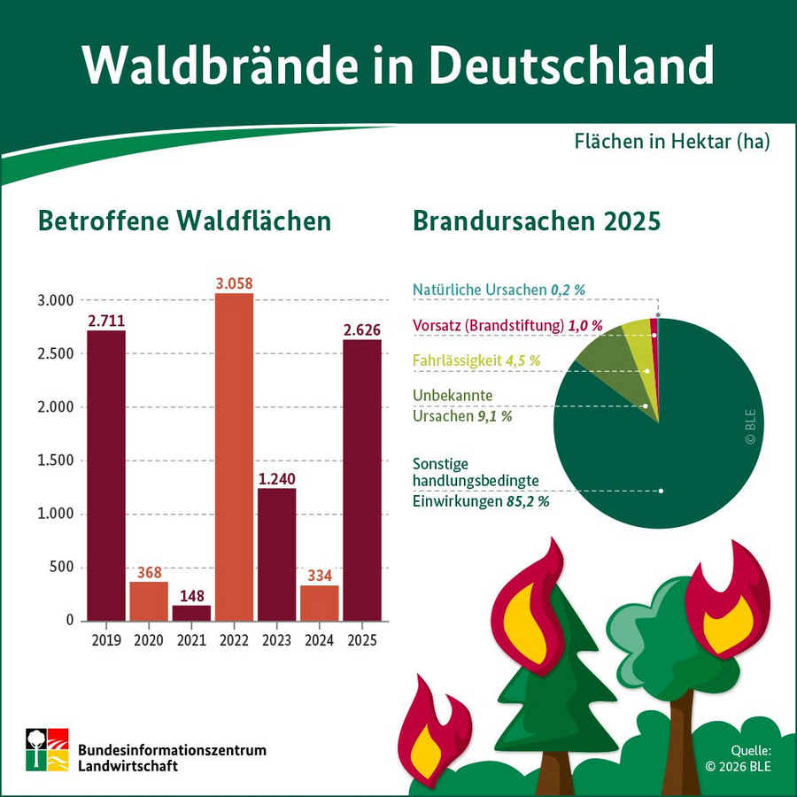 Infografik: Waldbrände in Deutschland 2025