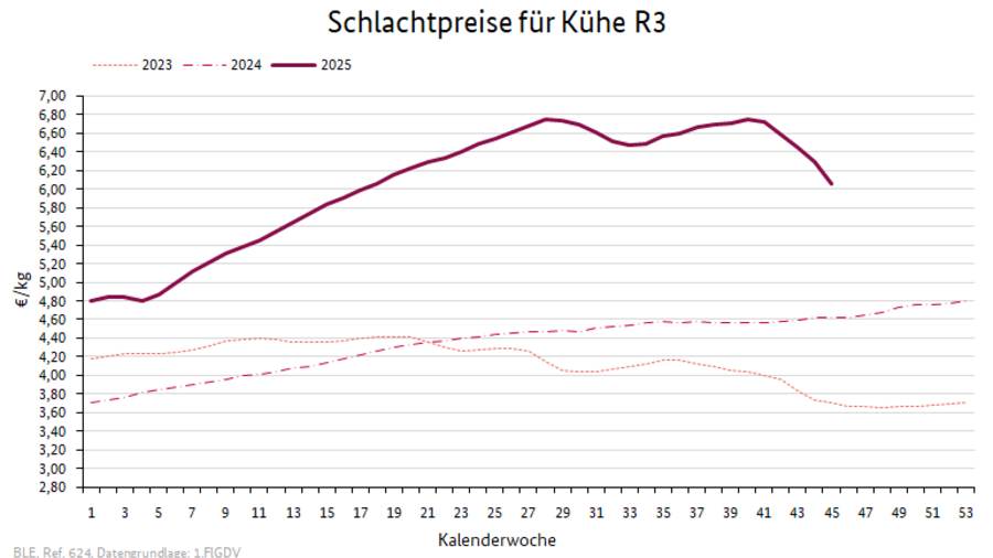 Preisverlauf Jungbullen R3