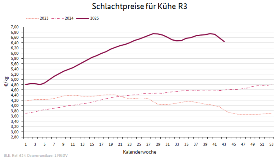 Preisverlauf Jungbullen R3