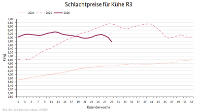 Liniendiagramm: Preisverlauf Schlachtpreise für Kühe R3