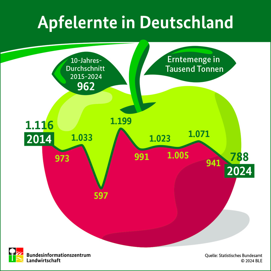 Infografik Apfelernte 2024