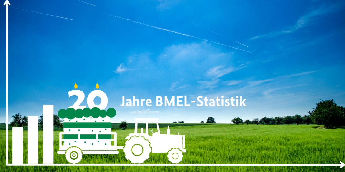 Traktor vor einem grünen Feld. 20 Jahre BMEL-Statistik