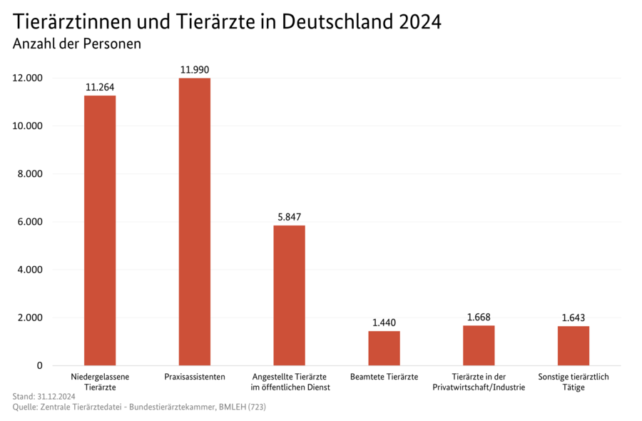 Säulendiagramm: Tierärztinnen und Tierärzte in Deutschland 2024