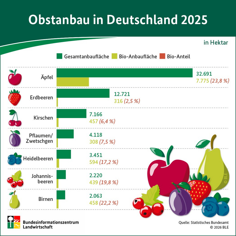 Infografik: Obstanbau in Deutschland 2025