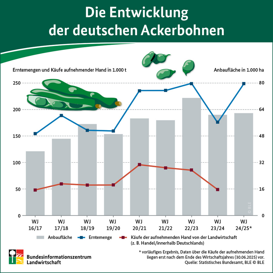 Infografik: Die Entwicklung der deutschen Ackerbohnen