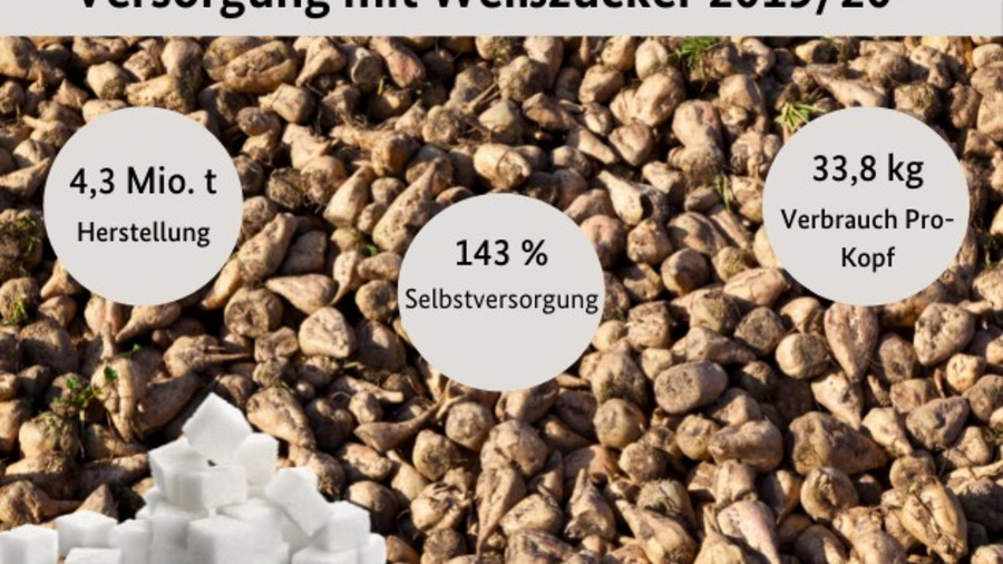 Versorgung mit Weißzucker 2019/20. Abgebildet sind Zuckerrüben und Zuckerwürfel. Zahlen: 4,3 Mio. t Herstellung; 143% Selbstversorgung; 33,8 kg Verbrauch Pro-Kopf