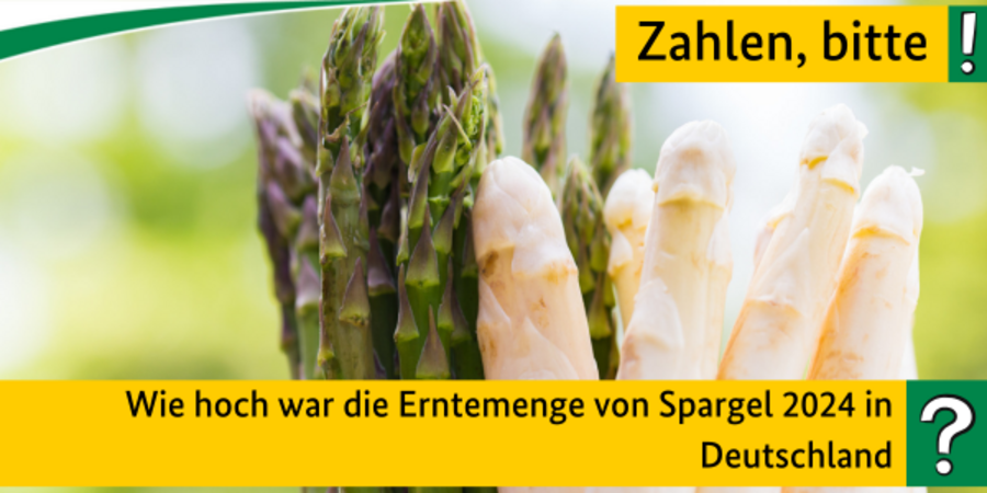 Quiz: Wie hoch war die Erntemenge von Spargel 2024 in Deutschland? 