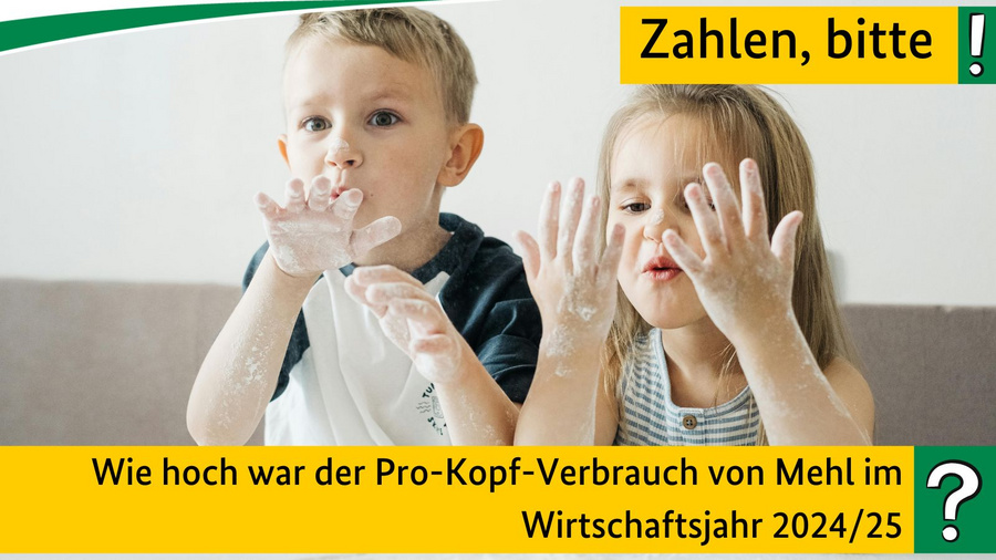 Wie hoch war der Pro-Kopf-Verbrauch von Mehl im Wirtschaftsjahr 2024/25?
