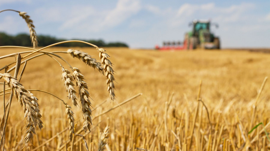Abgeerntetes Getreidefeld auf dem ein Traktor fährt