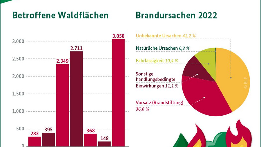 Infografik: Waldbrandstatistik 2022. Angegeben sind die Waldbrandfläche und die Brandursachen. Datenquelle ist die Waldbrandstatistik 2022.