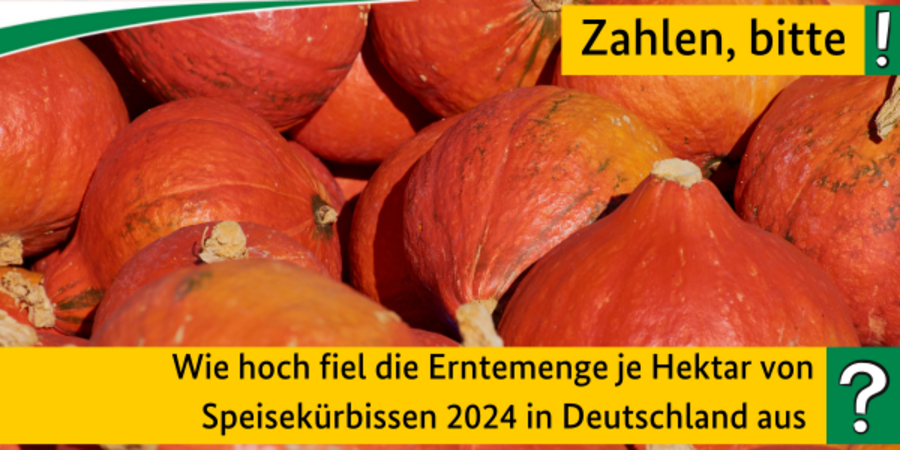 Quiz: Wie hoch fiel die Erntemenge je Hektar von Speisekürbissen 2024 in Deutschland aus?