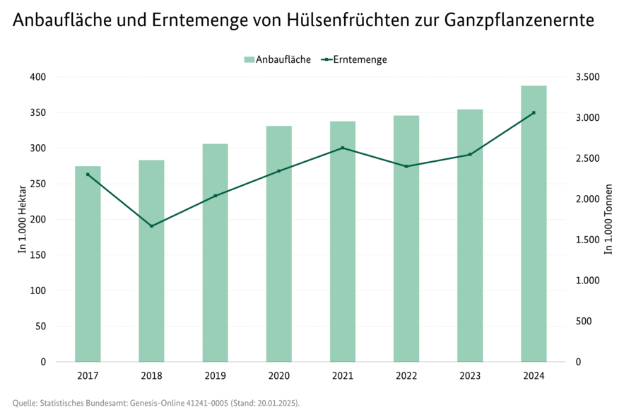 Als Säulendiagramm ist die Anbaufläche von Hülsenfrüchten zur Ganzpflanzenernte in 1.000 Hektar dargestellt. Als Liniendiagramm ist die Erntemenge von Hülsenfrüchten zur Ganzpflanzenernte in 1.000 Tonnen dargestellt.