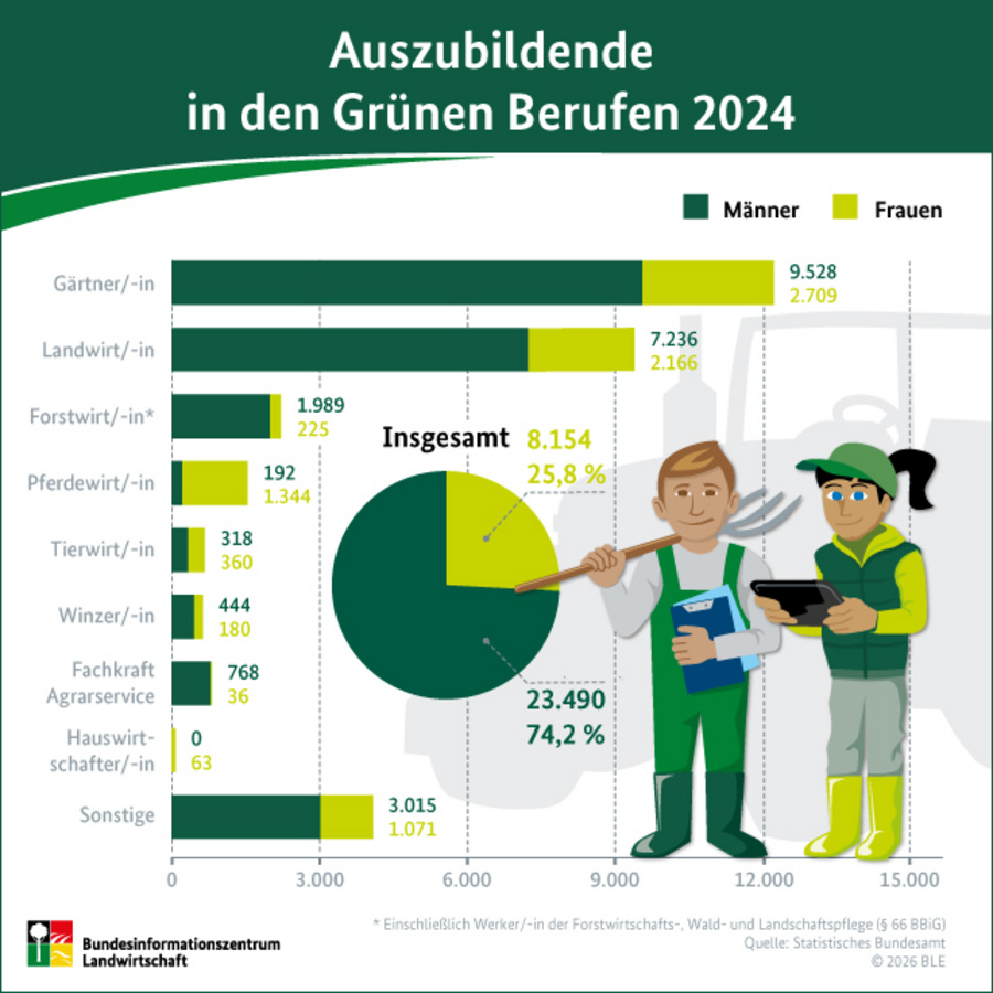 Infogarfik mit Balkendiagramm: Auszubildene in den Grünen Berufen 2024