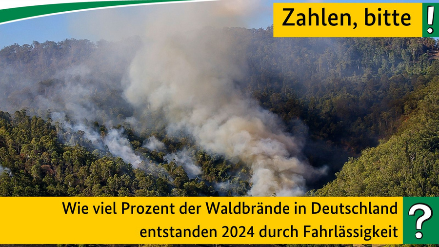 Wie viel Prozent der Waldbrände in Deutschland entstanden 2024 durch Fahrlässigkeit?