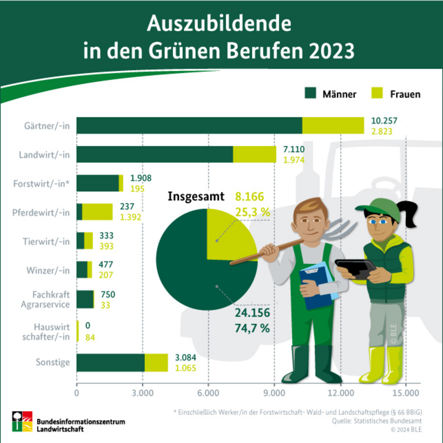 Balkendiagramm zu den Auszubildenen in den Grünen Berufen