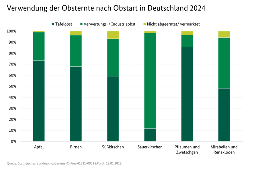 Gestapeltes Säulendiagramm: Verwendung der Obsternte nach Obstart in Deutschland 2024 in Prozent. 