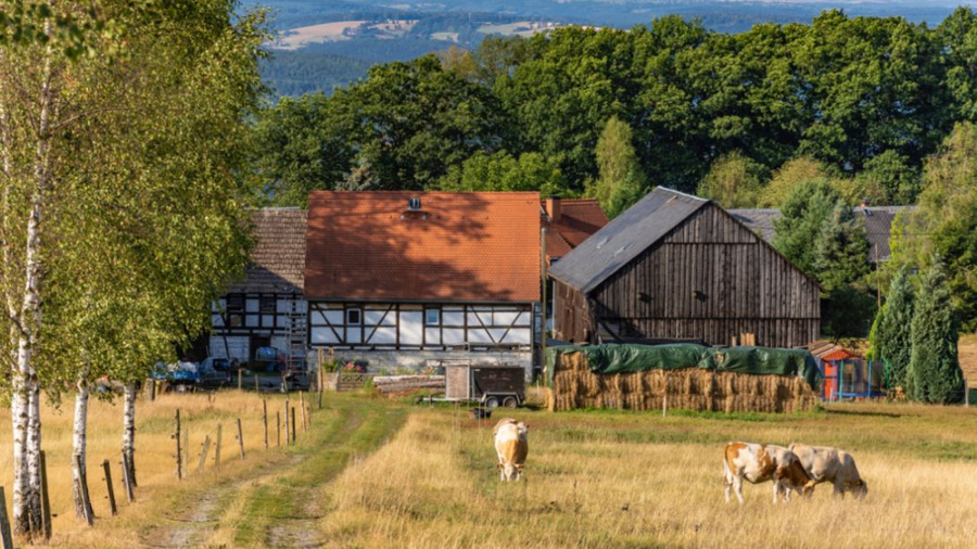 Hofgebäude eines landwirtschaftlichen Betriebes, davor Kühen auf einer Wiese