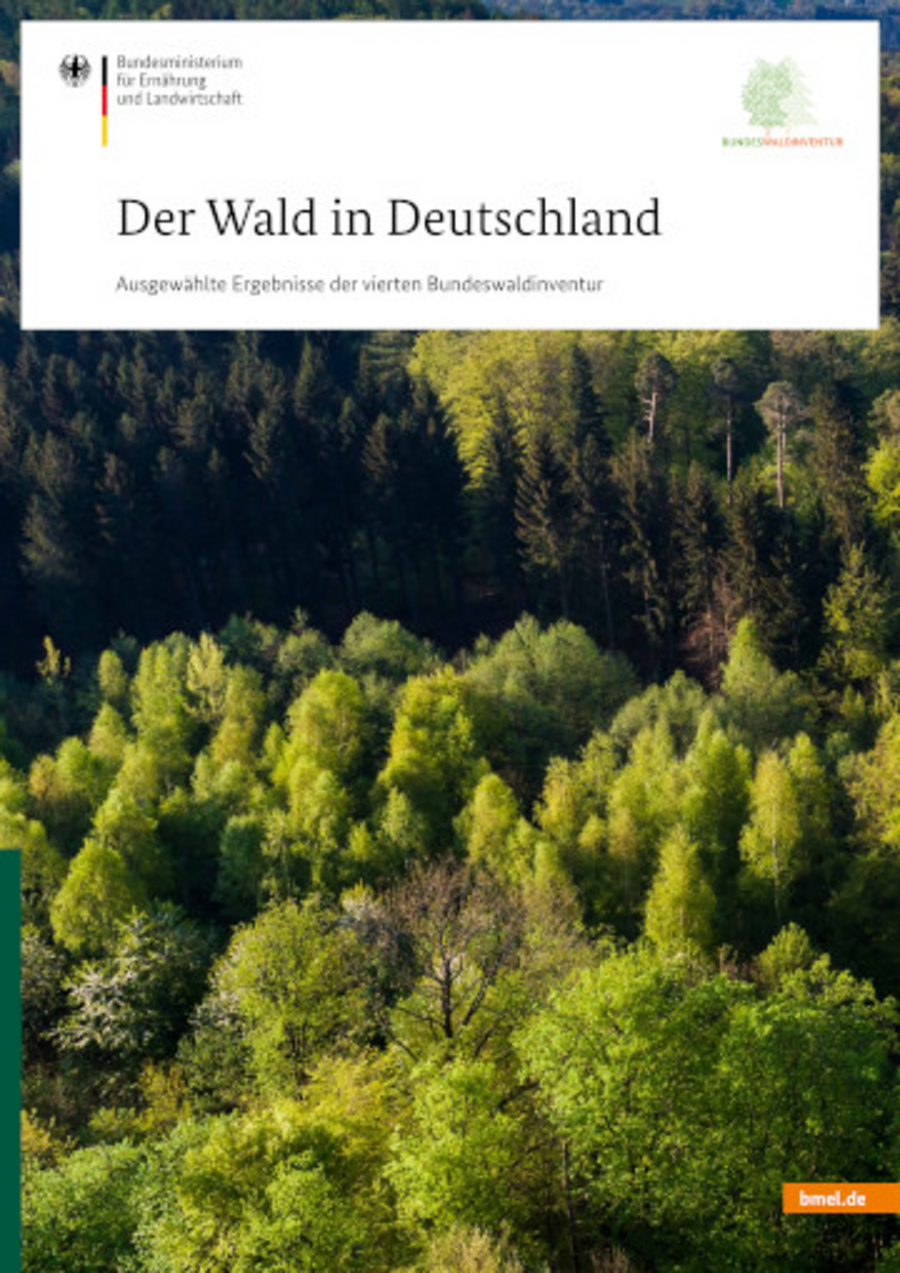 Titelblatt der Broschüre. zu sehen: Lichteinfall im Wald.