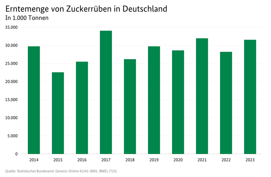 Als Säulendiagramm ist die Erntemenge von Zuckerrüben in 1.000 Tonnen dargestellt.  Die Werte werden im Zeitraum von 2016 bis 2021 angegeben. Datenquelle ist die Tabelle 3072200.