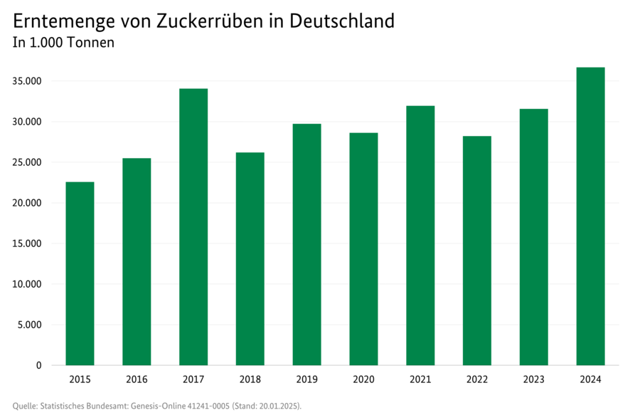 Säulendiagramm: Erntemenge von Zuckerrüben in Deutschland