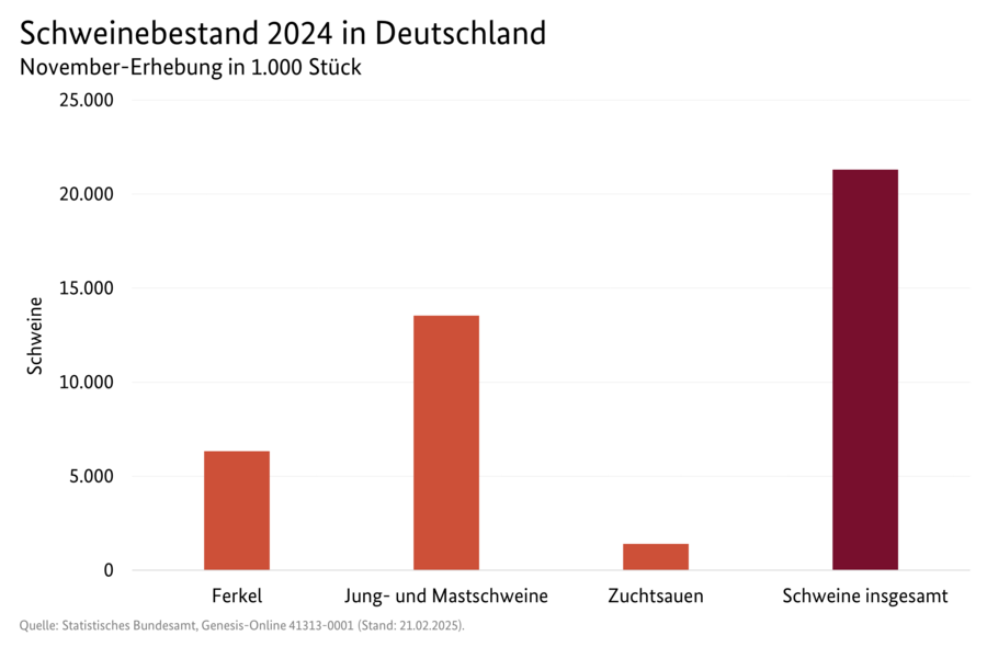 Säulendiagramm: Schweinebestand in Deutschland (November-Erhebung). Datenquelle: Tabelle 3101300.