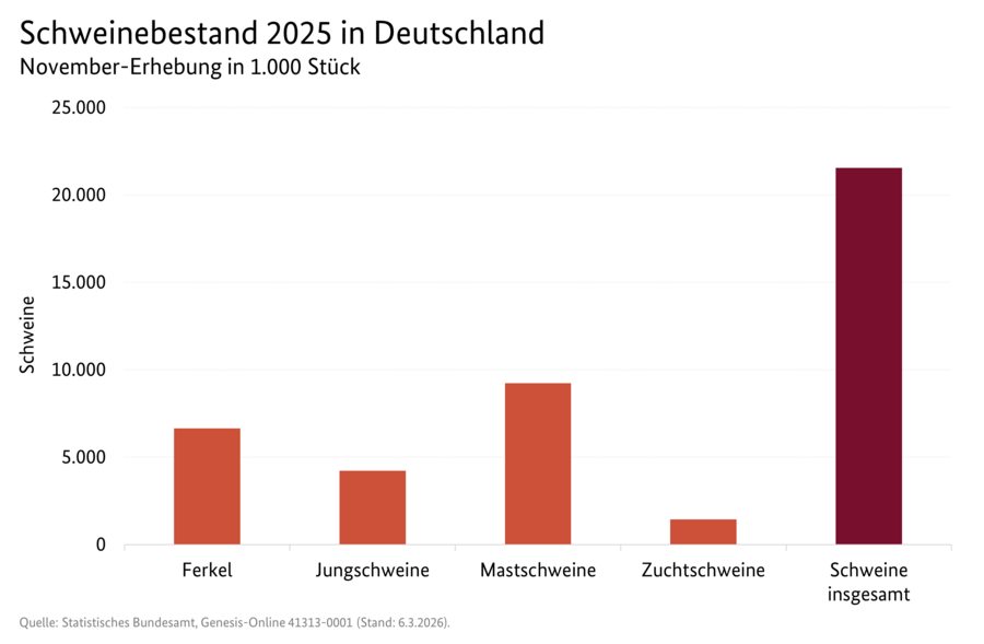 Säulendiagramm: Schweinebestand 2025 in Deutschland (November-Erhebung)
